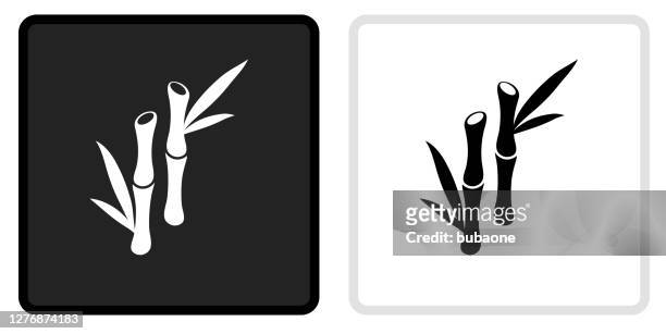 bamboo plant icon on  black button with white rollover - bamboo stock illustrations