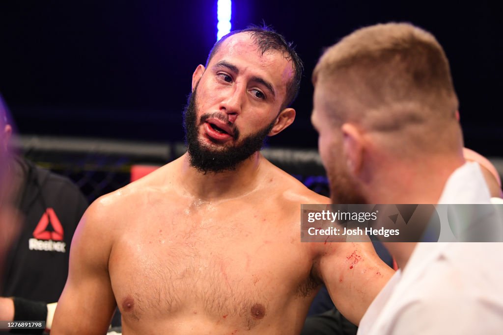 UFC 253 Reyes v Blachowicz