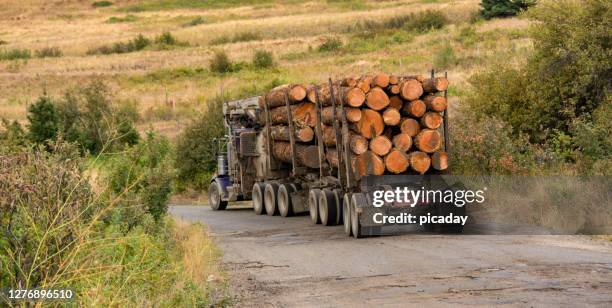 logging truck and trailer loaded with logs - log driver canada stock pictures, royalty-free photos & images