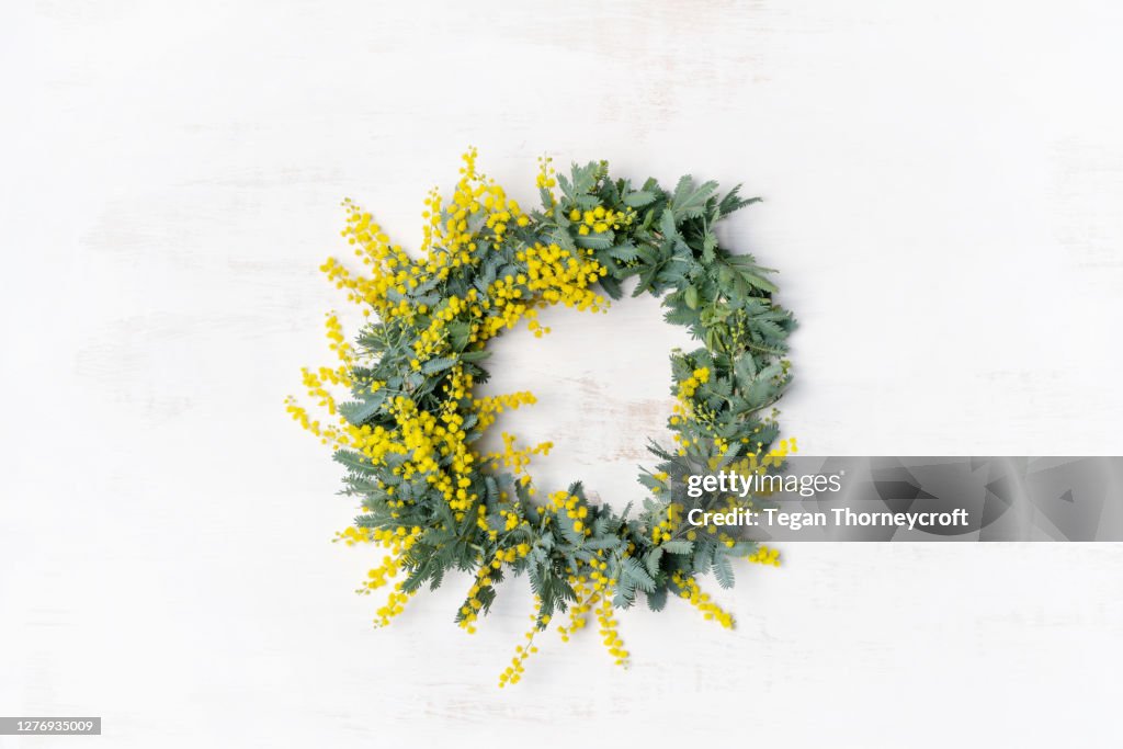 Australian native yellow wattle/acacia flower wreath.