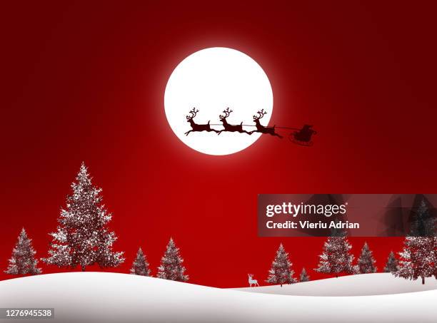 christmas snow , tree season december , red background - blue winter tree stockfoto's en -beelden