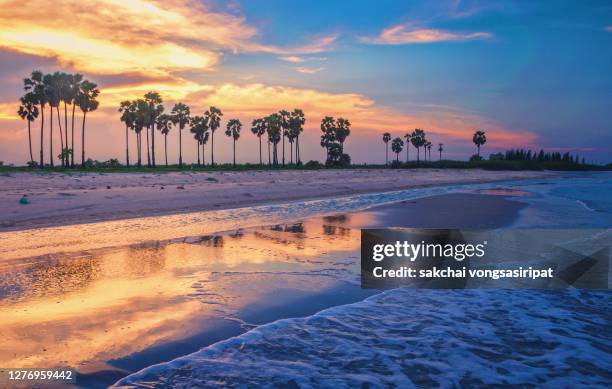 palm trees on beach against sky during sunset - andaman islands stock pictures, royalty-free photos & images