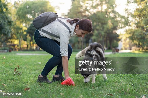 公園で彼女の犬の後に掃除女性 公園で彼女の犬の後に掃除女性