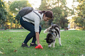 Woman cleaning after her dog in the park