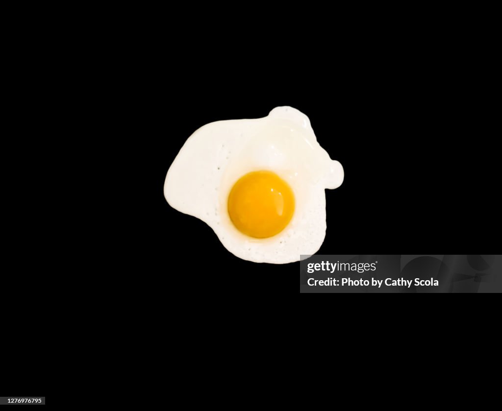 Egg