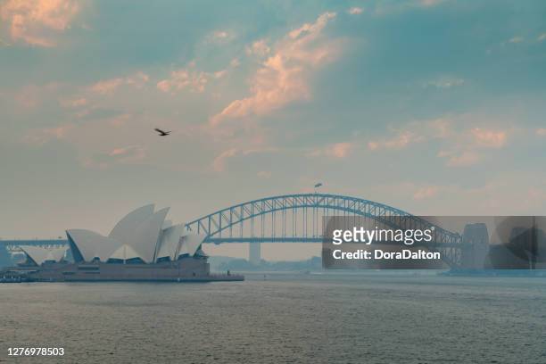 sydney harbour bridge and sydney opera house obscured by smoke from various bushfires across nsw, australia - sydney smoke stock pictures, royalty-free photos & images