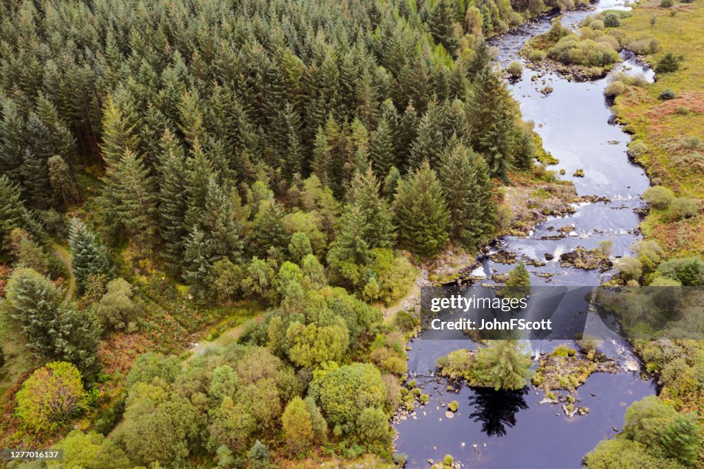 Die Luftaufnahme eines Flusses, der neben einem Pinienwald im ländlichen Schottland fließt