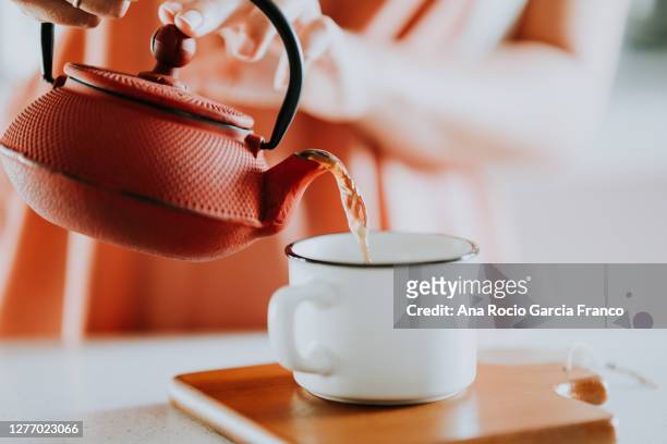 a young woman serving tea - hot spanish women stock pictures, royalty-free photos & images