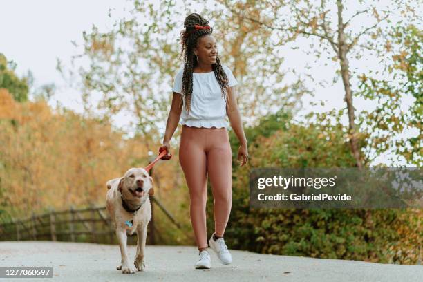 mujer negra paseando al perro - dog walking fotografías e imágenes de stock