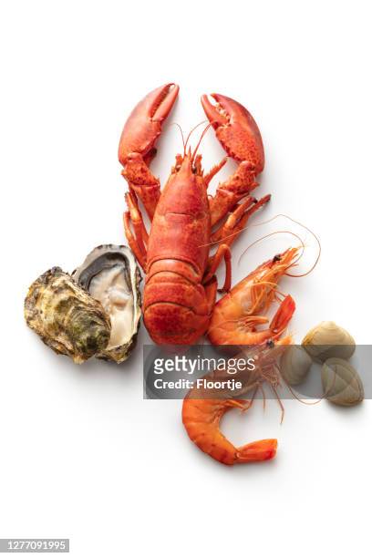 zeevruchten: kreeft, garnalen, oester en mosselen geïsoleerd op witte achtergrond - shrimp seafood stockfoto's en -beelden