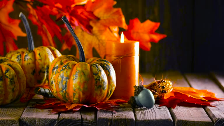 https://media.gettyimages.com/id/1277100347/video/thanksgiving-decoration-with-pumpkins-and-greeting-card-on-illuminated-background-and-a.jpg?b=1&s=640x640&k=20&c=Dd_z-tO24o6d5Dp3t-x3GQKOy94L2AR7pk9RbrAI1bk=