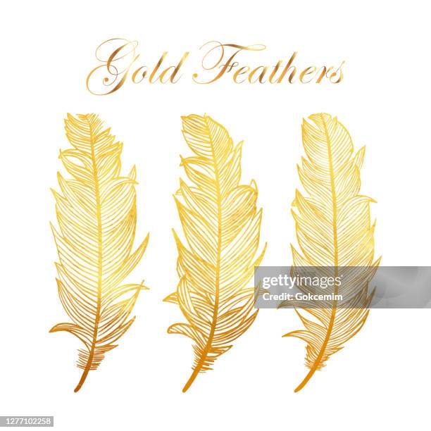 ilustraciones, imágenes clip art, dibujos animados e iconos de stock de colección plumas de oro con fondo blanco. elemento de diseño para tarjetas de felicitación y boda, cumpleaños y otras tarjetas de invitación de vacaciones y verano fondo. - cerda-pelo-de-animal