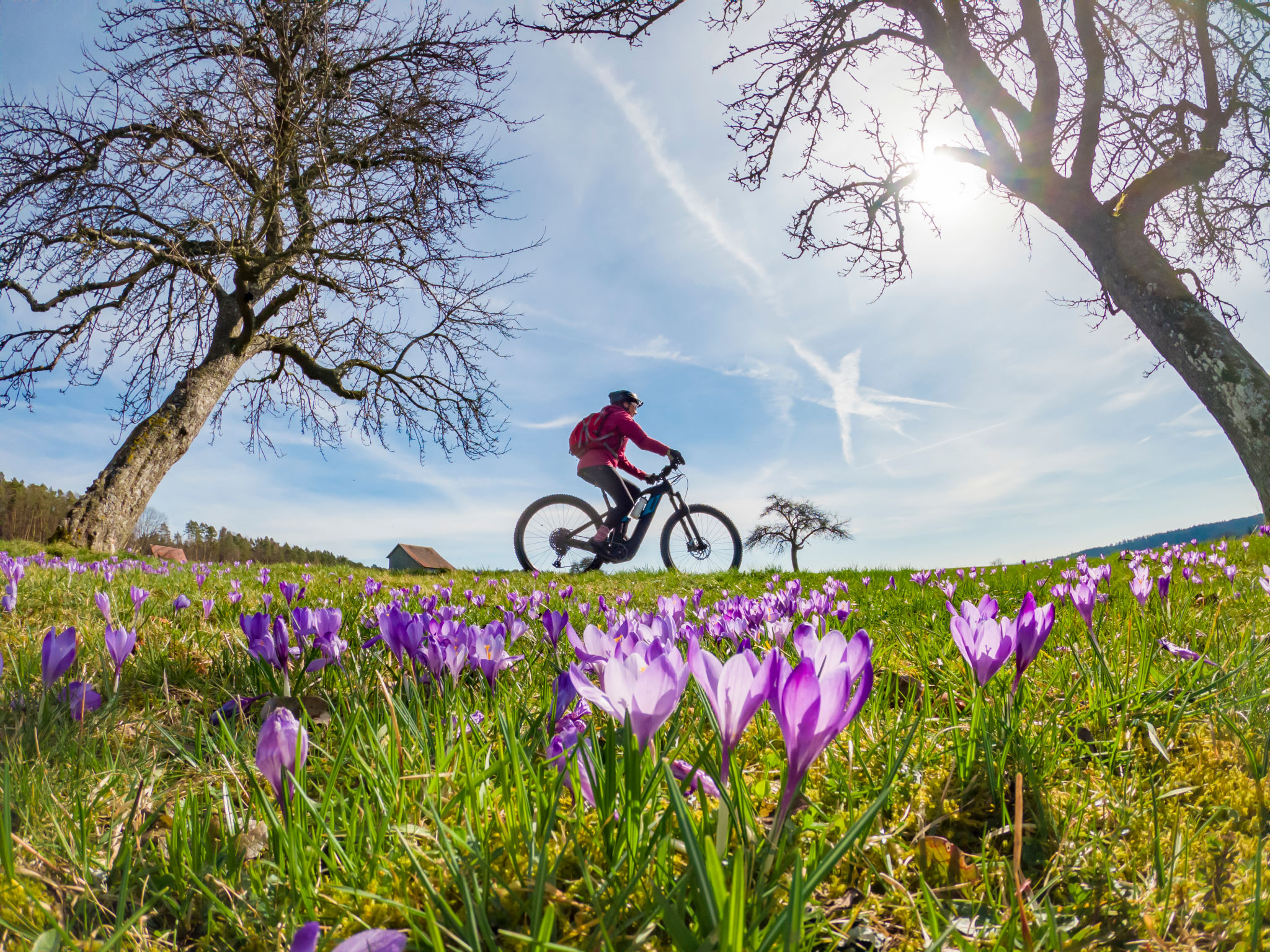 spring cycling