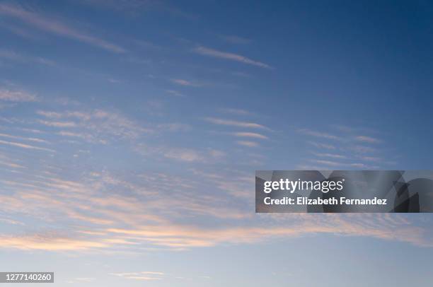 cirrocumulus stratiformis undulatus clouds during sunset - 巻積雲 ストックフォトと画像