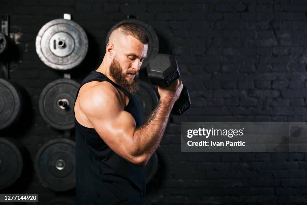 big caucasian male bodybuilder training at the gym - handsome bodybuilders stock pictures, royalty-free photos & images