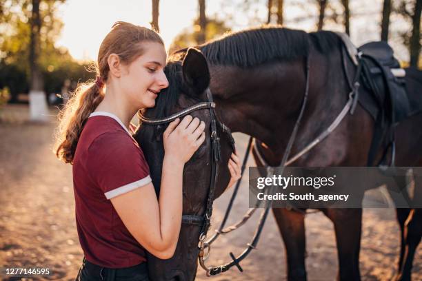 快樂少女愛上她的馬。 - bay horse 個�照片及圖片檔