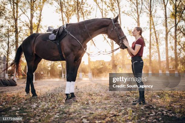 uma jovem abraçada com seu cavalo ao ar livre - baio - fotografias e filmes do acervo