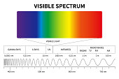 Visible light diagram. Color electromagnetic spectrum, light wave frequency. Educational school physics vector background