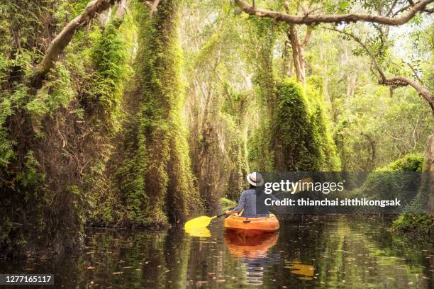 rear view of adventure woman kayaking along beautiful tropical jungle river. - rainforest garden ストックフォトと画像