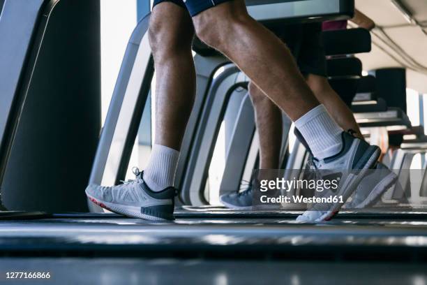 legs of athletes running on treadmills in health club - legs in stockings stock pictures, royalty-free photos & images