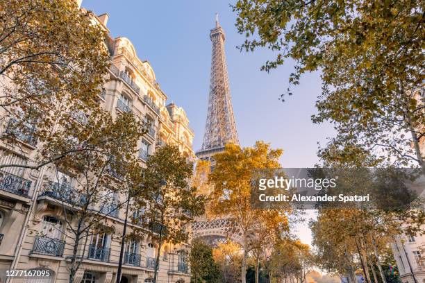 autumn in paris, france - paris france stock pictures, royalty-free photos & images