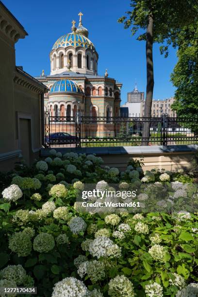 poland, lodz, flowers blooming in park moniuszki with alexander nevsky cathedral in background - lodz foto e immagini stock