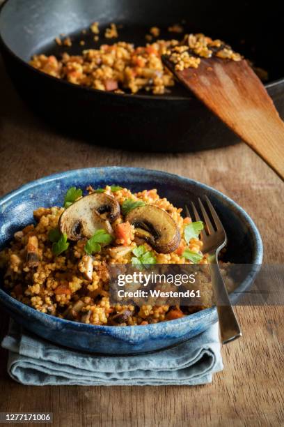 bowl of ready-to-eat fried millet with mushrooms and parsley - miglio foto e immagini stock