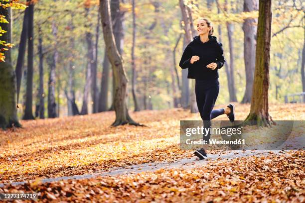 young woman jogging in autumn forest - joggerin stock-fotos und bilder