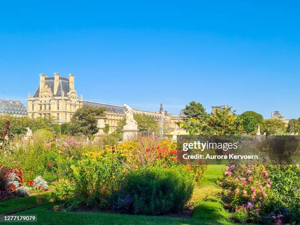 tuileries gardens, paris, france - jardim das tulherias imagens e fotografias de stock