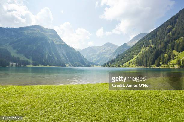 grass pasture with lake and background mountains - colina fotografías e imágenes de stock