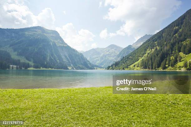 grass pasture with lake and background mountains - sunny forest stock pictures, royalty-free photos & images