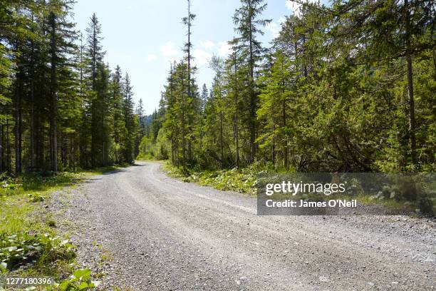 empty gravel road with surrounding forest - dirt road stock pictures, royalty-free photos & images