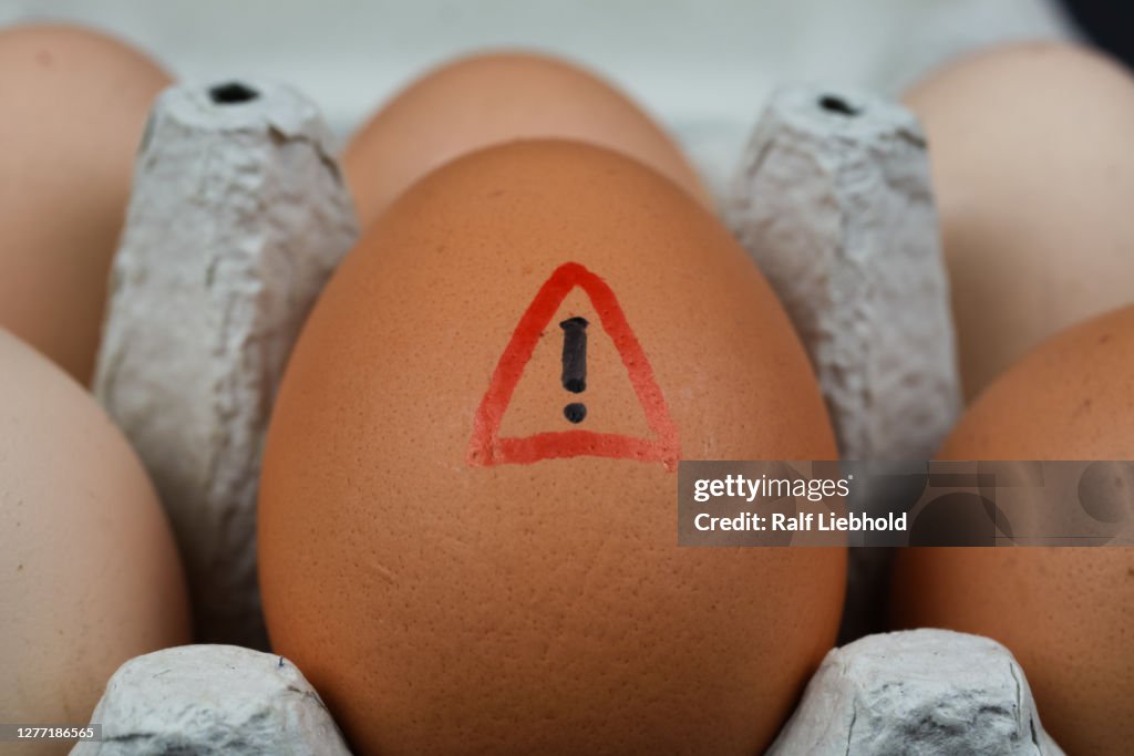 Closeup of isolated raw brown eggs in carton box with warning sign - salmonella infection risk and cholesterol consumption concept