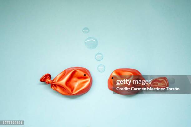 fishbowl - goldfish stock pictures, royalty-free photos & images