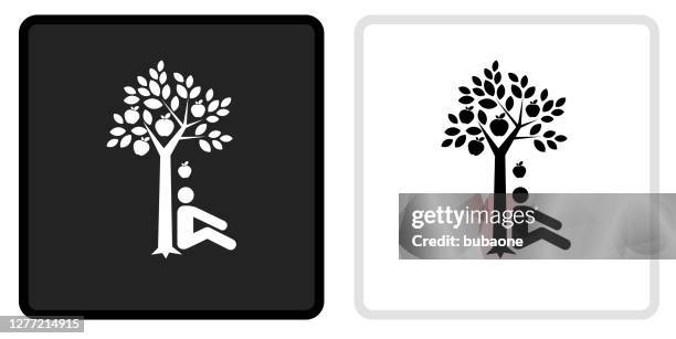 discovering gravity icon on black button with white rollover - apples falling stock illustrations