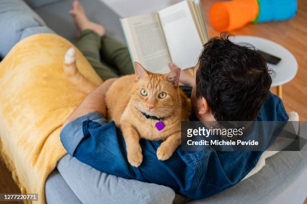 man with a ginger cat at home - collar stock pictures, royalty-free photos & images