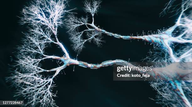 neuron cel close-up weergave - synapse stockfoto's en -beelden