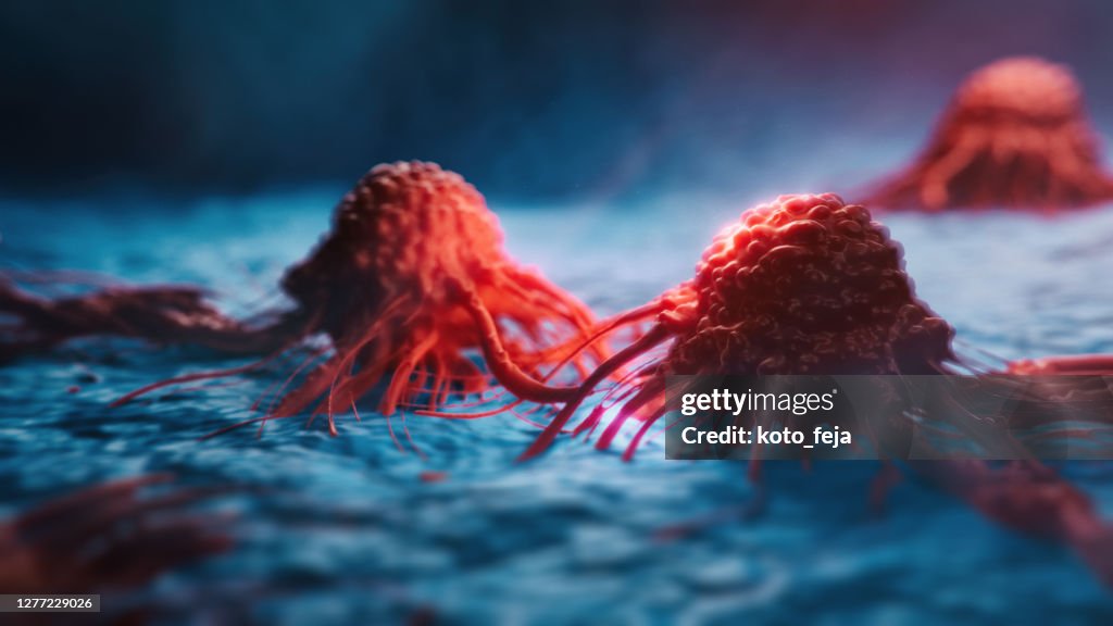 Células cancerosas vis