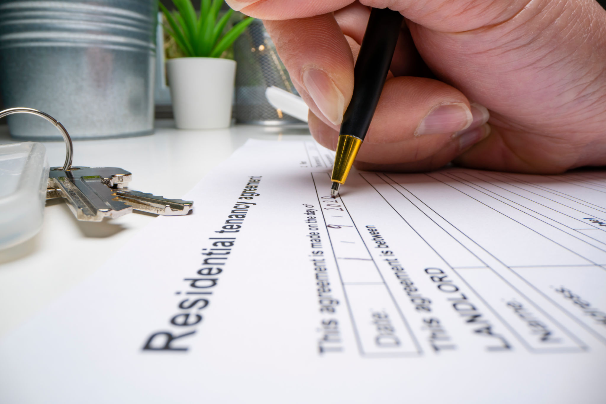 tenant application