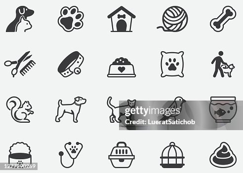 Pet Domestic Animals Pixel Perfect Icons Pet Domestic Animals Pixel Perfect Icons