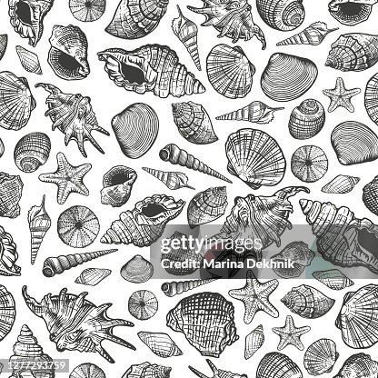 Shellpattern High-Res Vector Graphic - Getty Images