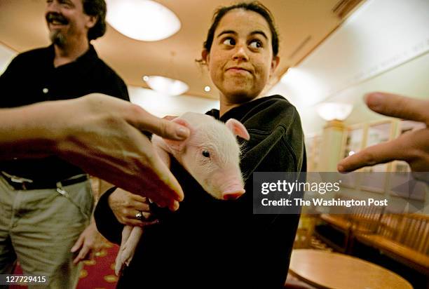 Washington, DC Maria Tejada, stage manager intern, holds Peanut, the piglet understudy, between performances of "The Heir Apparent", at the...