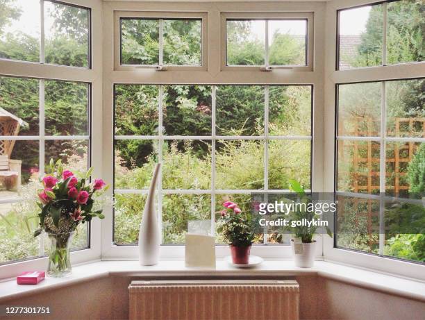 rosenstrauß und topfpflanzen am erkerfenster in einem haus - scheibe stock-fotos und bilder