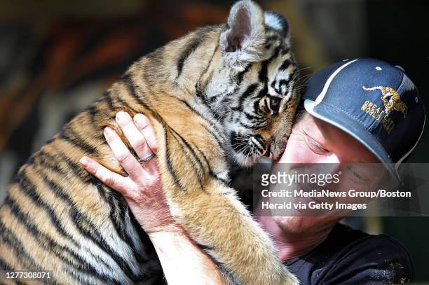 Donnie Patterson, keeper at the Great Cats World Park, gets a snuggle from a 13 week old Bengal tiger at the King Richard's Faire on August 29, 2019...