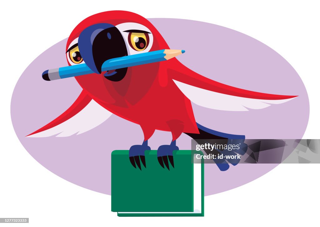 parrot-holding-pencil-and-book.jpg