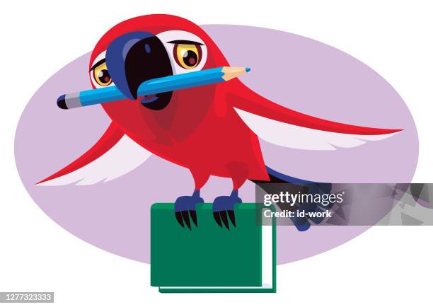 parrot holding pencil and book - landing touching down stock illustrations