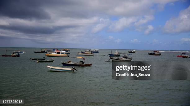 praia do forte on the coast of bahia - projeto tamar stock pictures, royalty-free photos & images