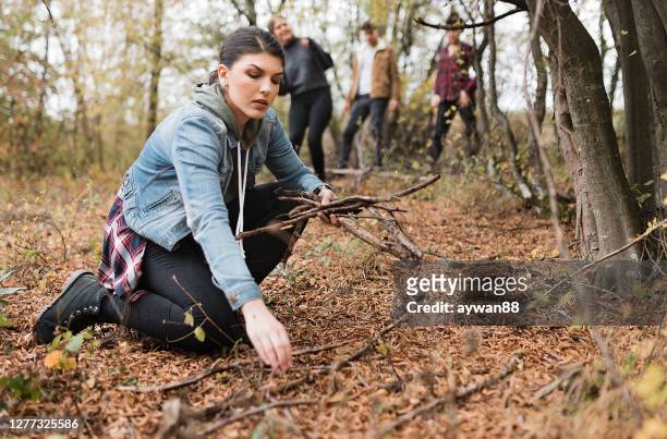 friends gather some firewood in the forest - collecting wood stock pictures, royalty-free photos & images