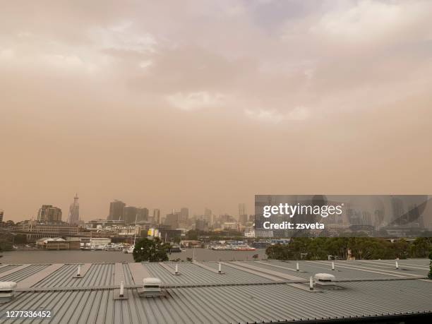 smoke covering sydney on a hot summer day, with bushfires raging around the city - air quality stock pictures, royalty-free photos & images