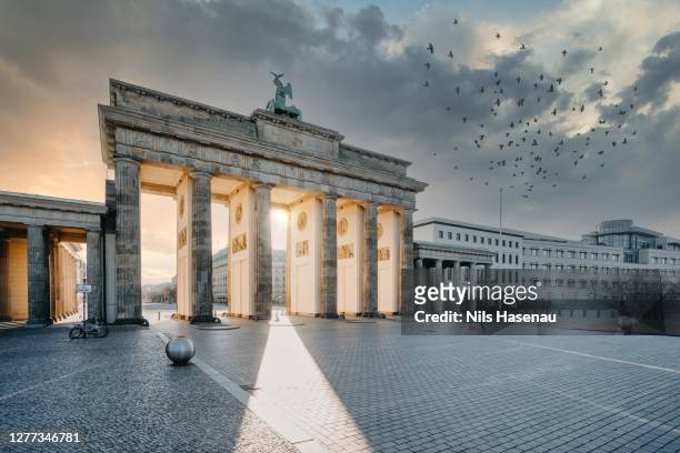 porta di brandeburgo berlino all'alba - berlino germania foto e immagini stock